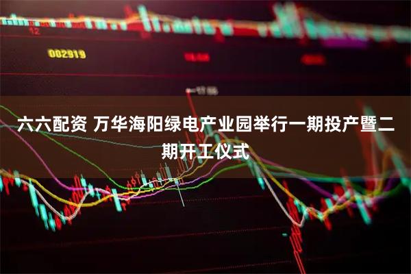 六六配资 万华海阳绿电产业园举行一期投产暨二期开工仪式