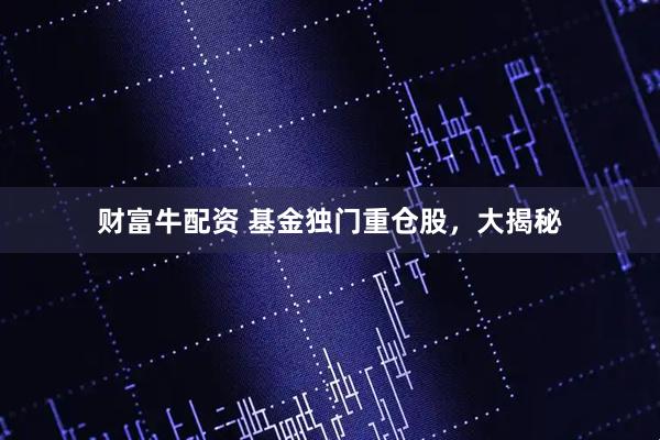 财富牛配资 基金独门重仓股，大揭秘